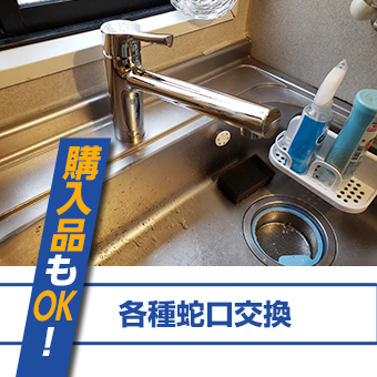 各種蛇口交換