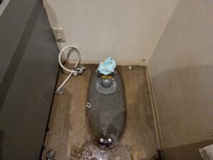 トイレを外しました